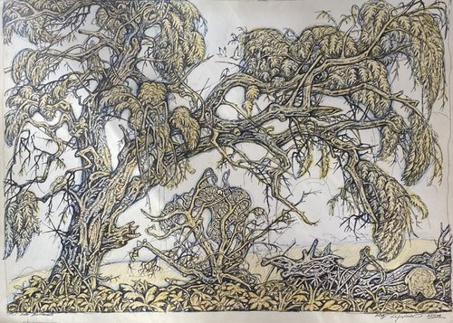 Old elm by Oleg and Alexander Litvinov