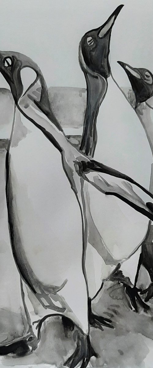 Pinguins / 42 x 29,7 cm by Alexandra Djokic