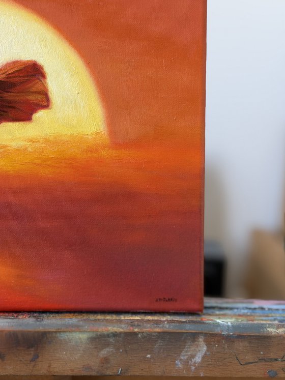 Toward dreams