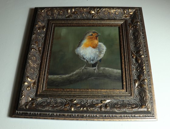 Lockdown's Morning Chorus Series - Robin, Bird Artwork, Animal Art Framed