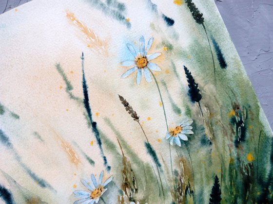 Daisy painting Wildflowers