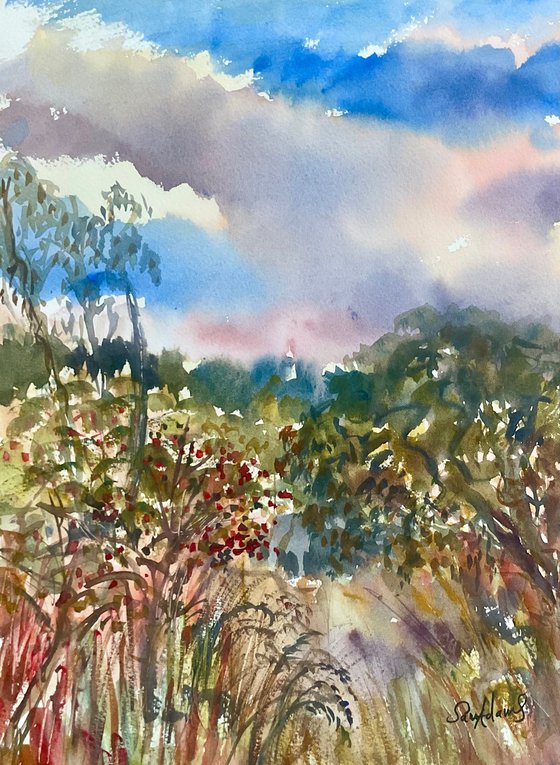 Early Autumn at Duncliffe wood