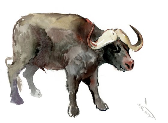 Buffalo