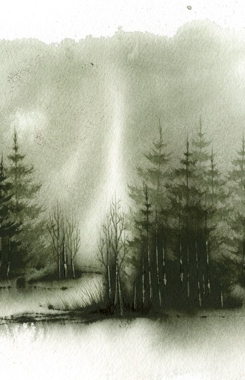 Places XXXVI - Watercolor Pine Forest by ieva Janu