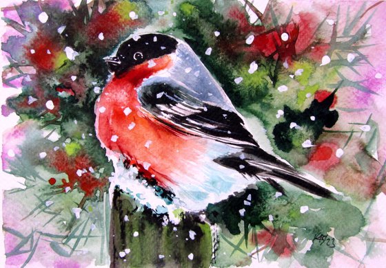 Bullfinch