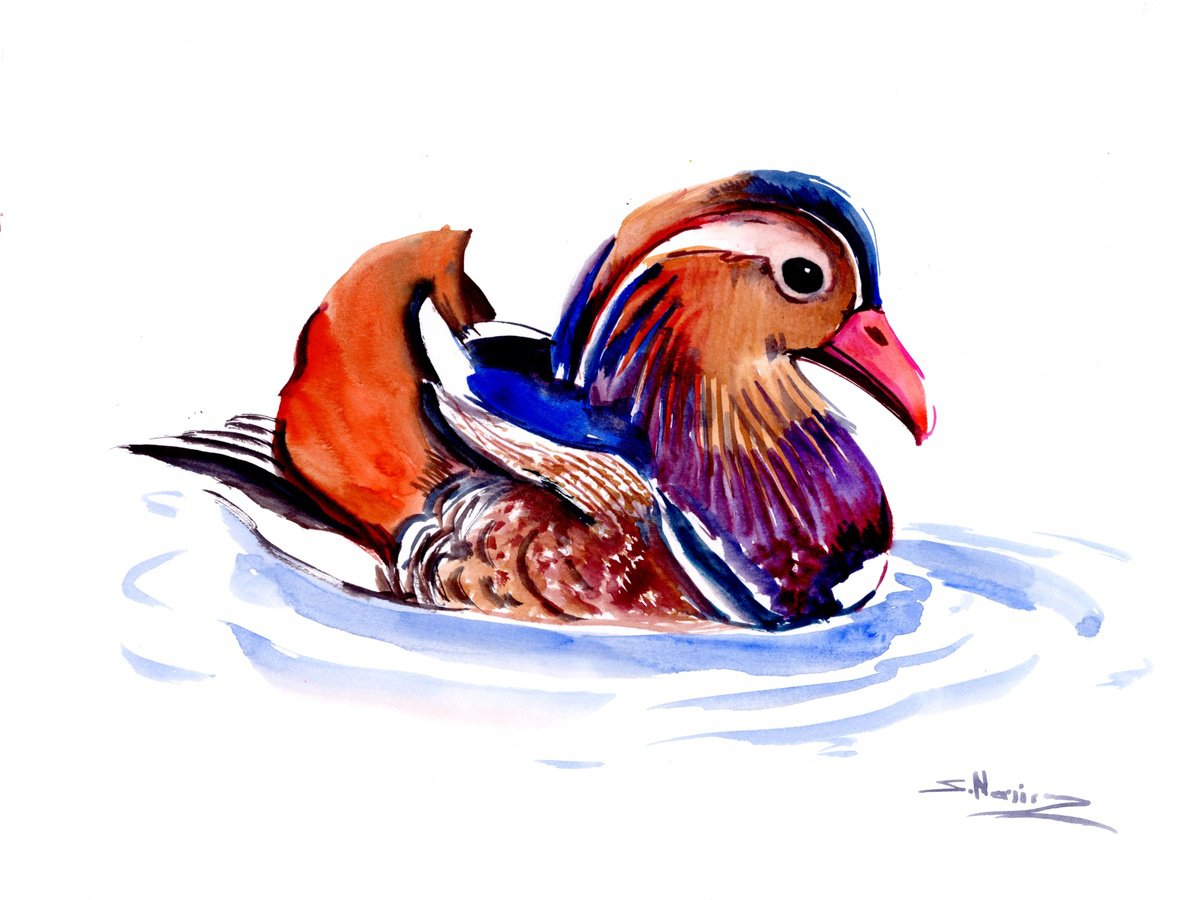 Mandarine Duck by Suren Nersisyan