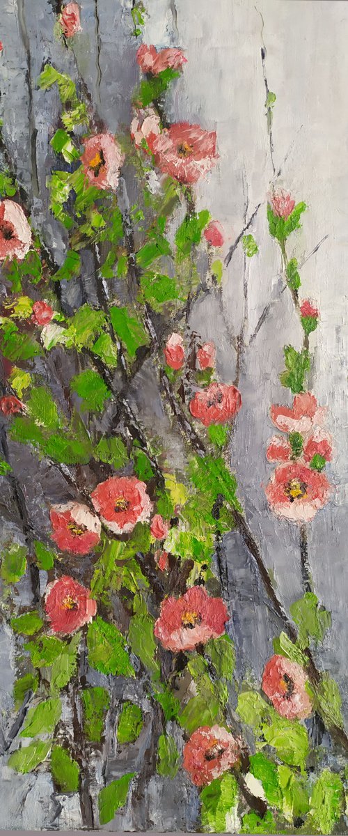Flowering Japanese quince branches by Maria Karalyos