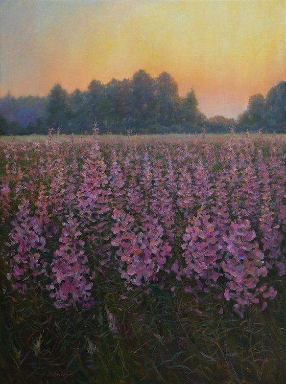 Sunset Over The Fireweed Field - summer painting landscape