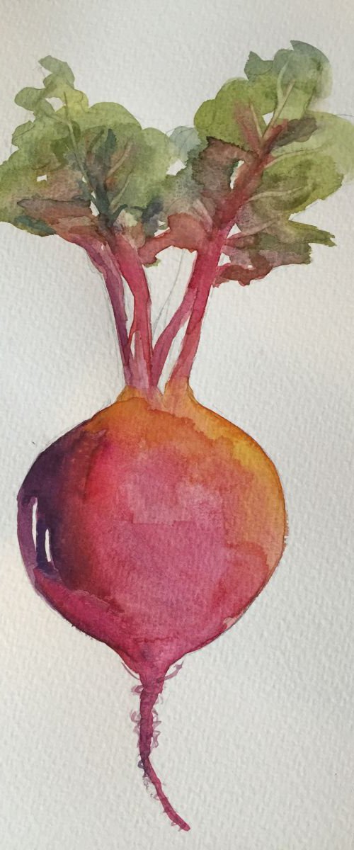 Radish by Jing Chen