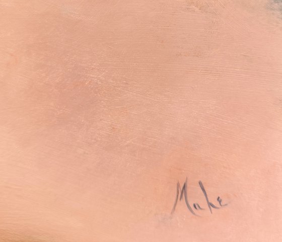 The Pink Sand Beach