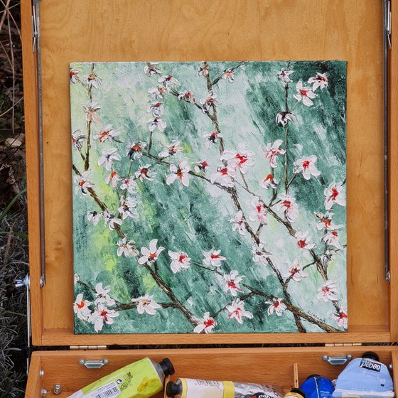 Cherries in bloom 1