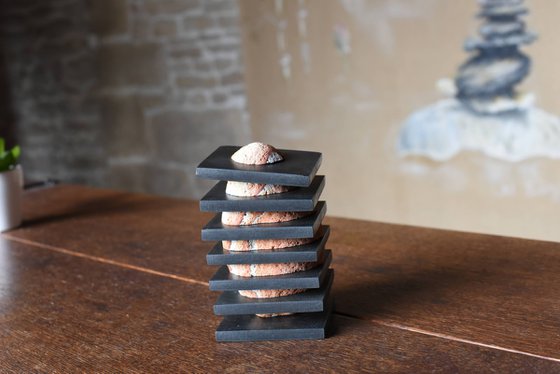 LITTLE HIDDEN BEAUTY