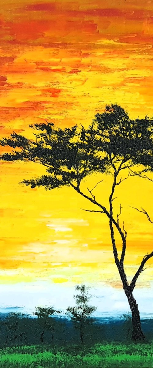 Sunny tree by Daniel Urbaník