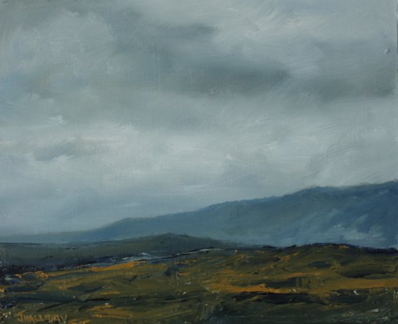 Donegal Wetlands, Irish Landscape