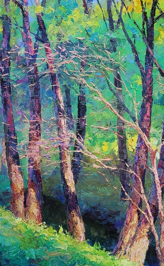 A Walk Through the Autumn Forest