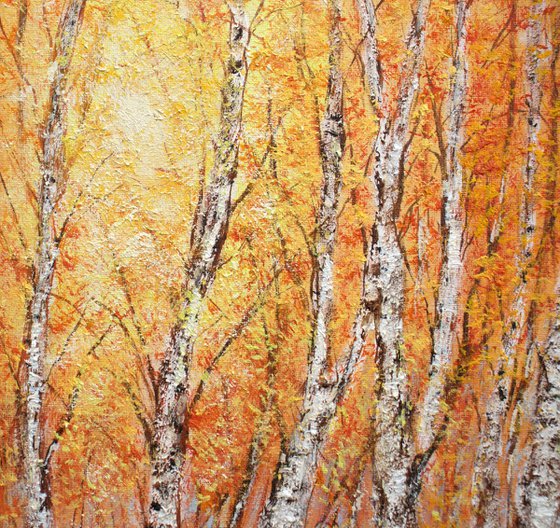 Autumn birch forest