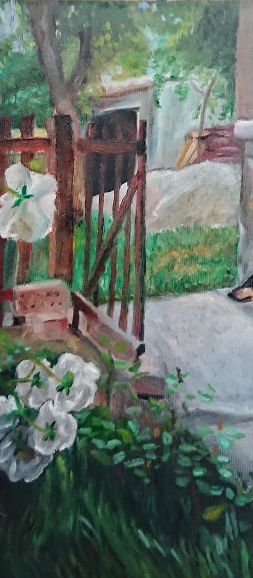 Garden by Viktória Déri