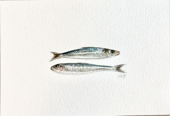 Small sardines