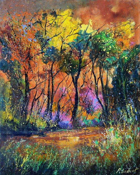 Colourful forest scenery