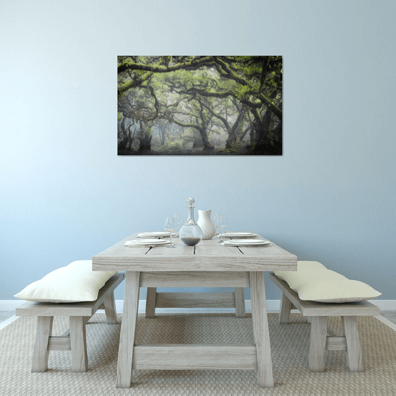 Misty Fanal Twisted Forest