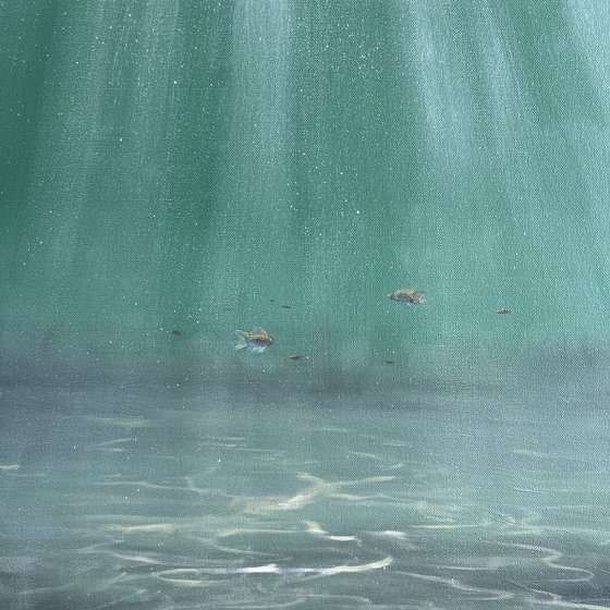Where Pretty Fishes Live