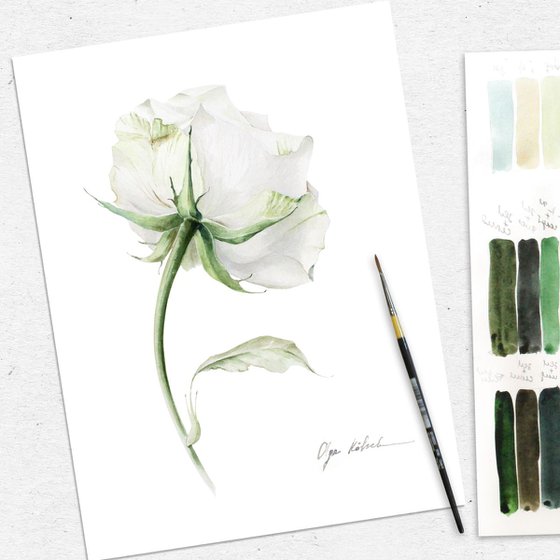 White and Green Rose
