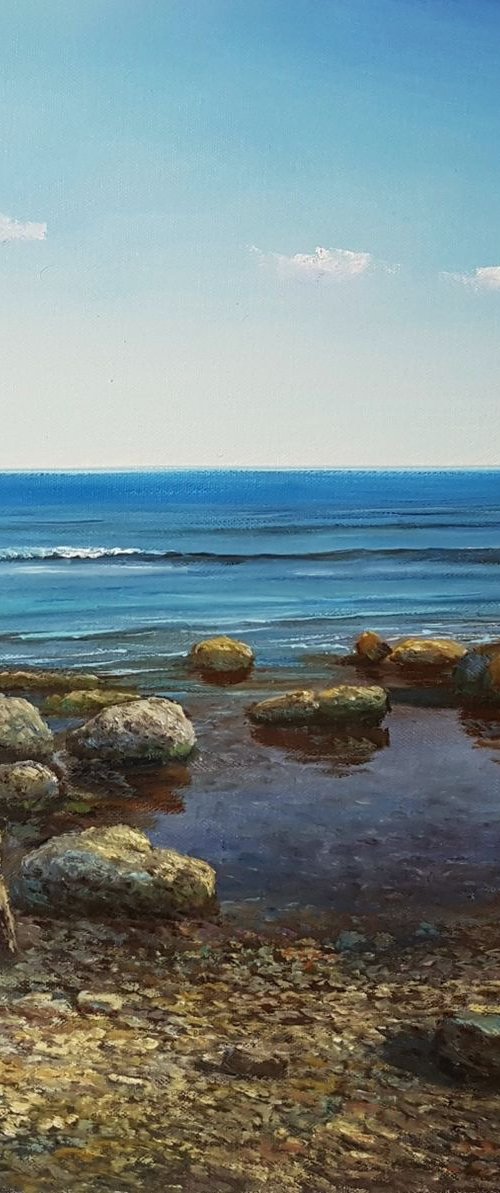 Stones in the Water by Paul Narbutt
