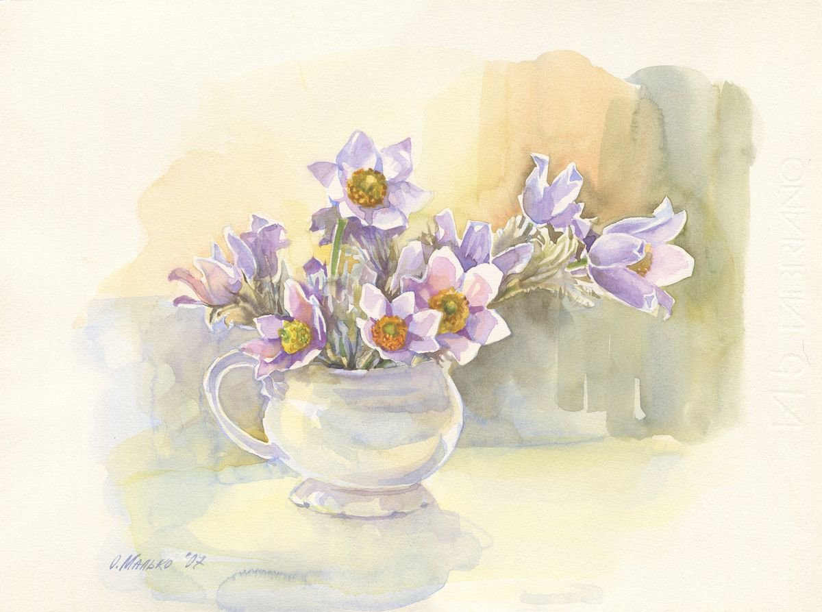 Spring flowers in the cup / Purple Pasque flowers Watercolor wind flowers by Olha Malko