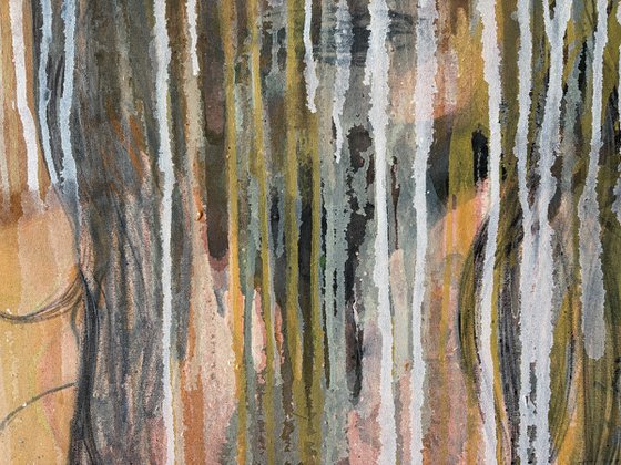 Veil of Flesh Series