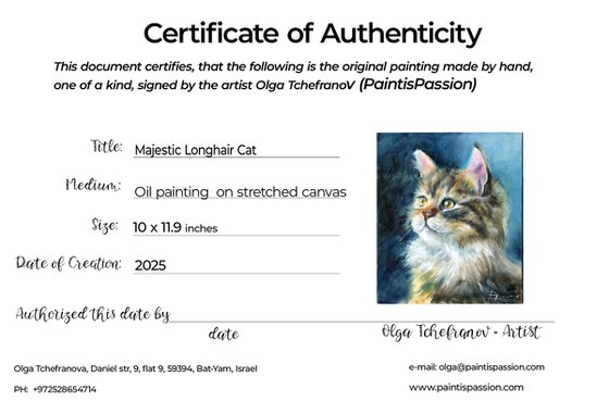 Majestic Longhair Cat