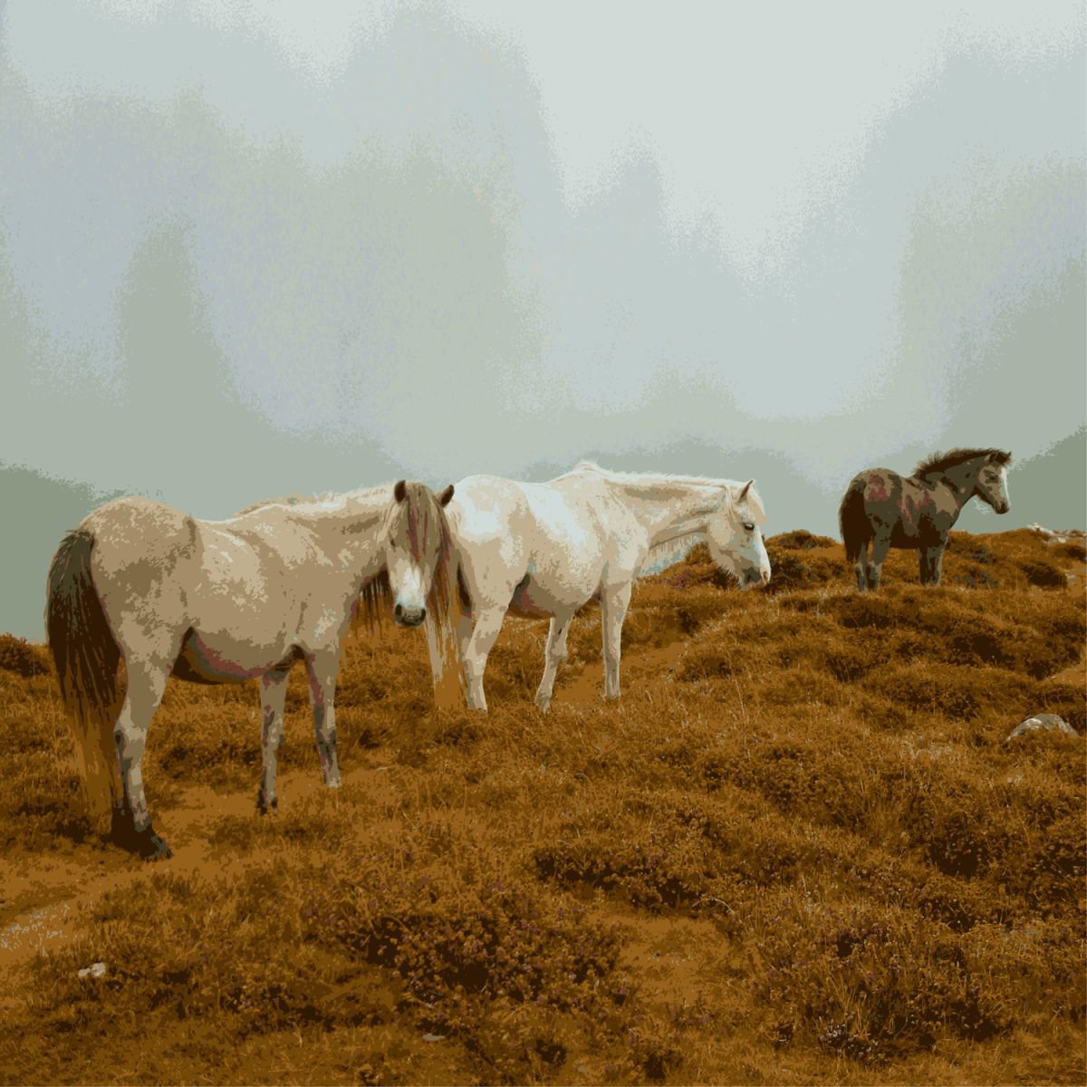 Mountain Ponies #1 by Keith Dodd