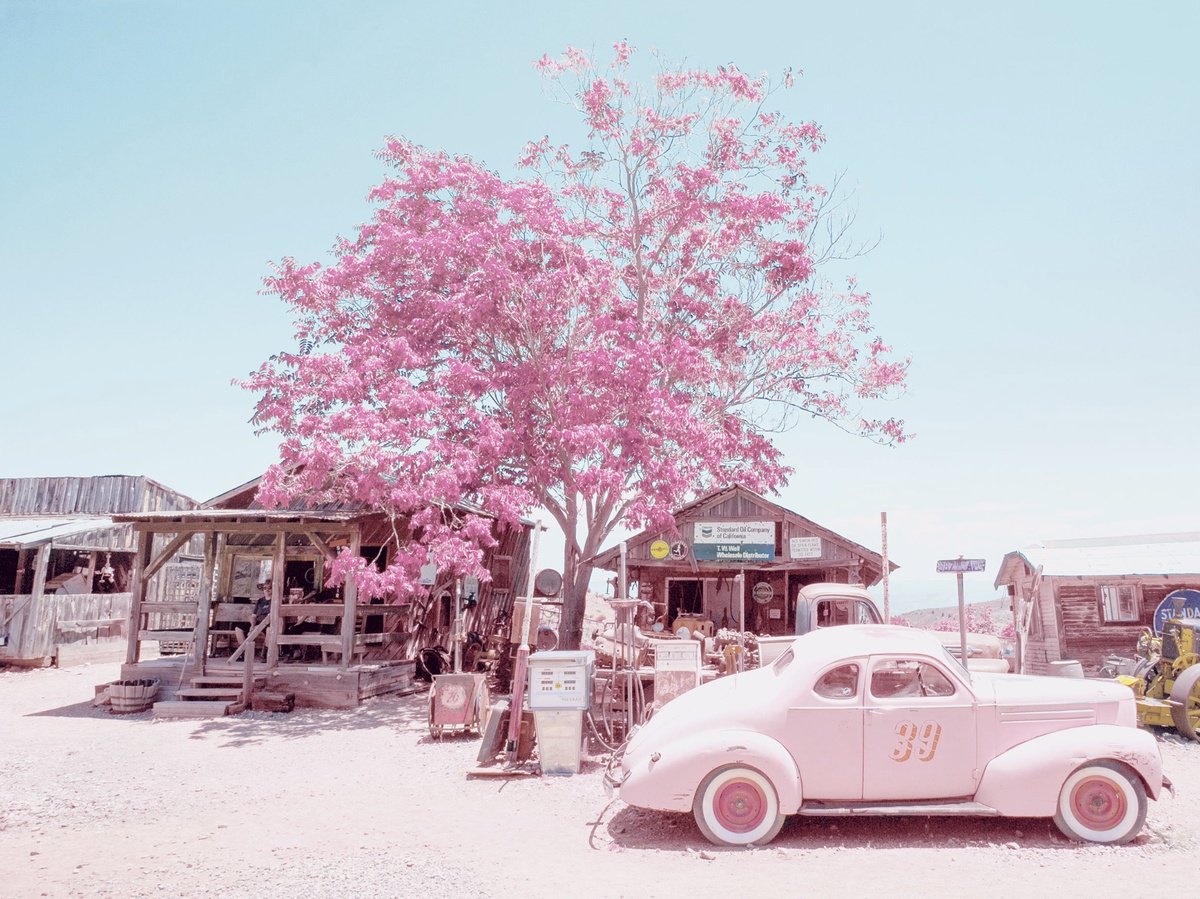 Urban And Pop Photograph , 387Th Avenue By Louise O