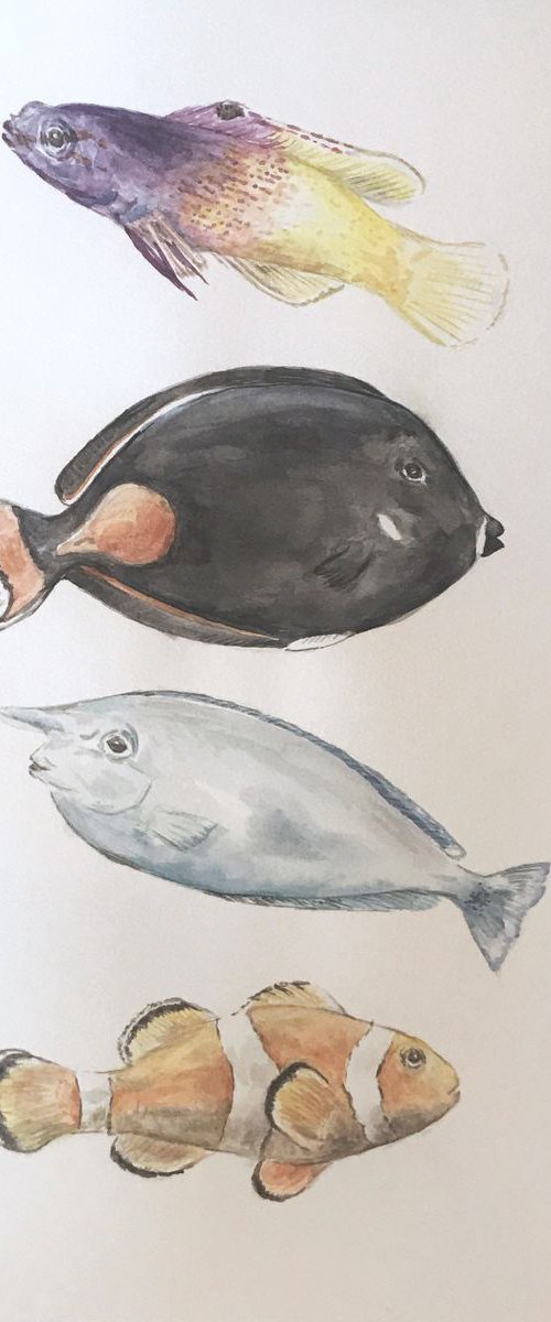 Four Fish Original Watercolor by Lauren Rogoff