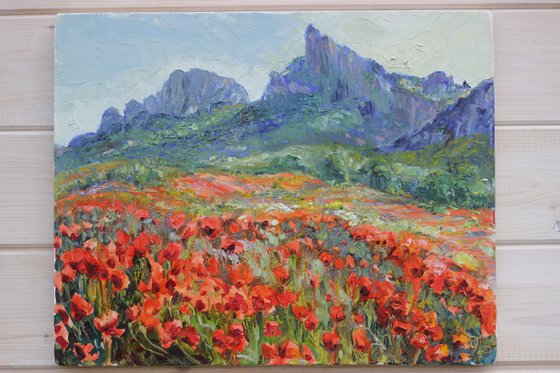 Vivid bloom of poppies