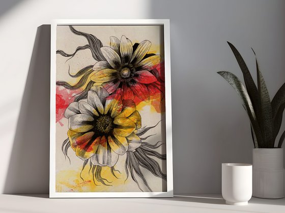 Floral Series: Gazania Rigens