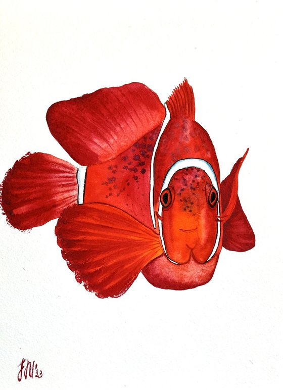 Exotic Yellow Red fish