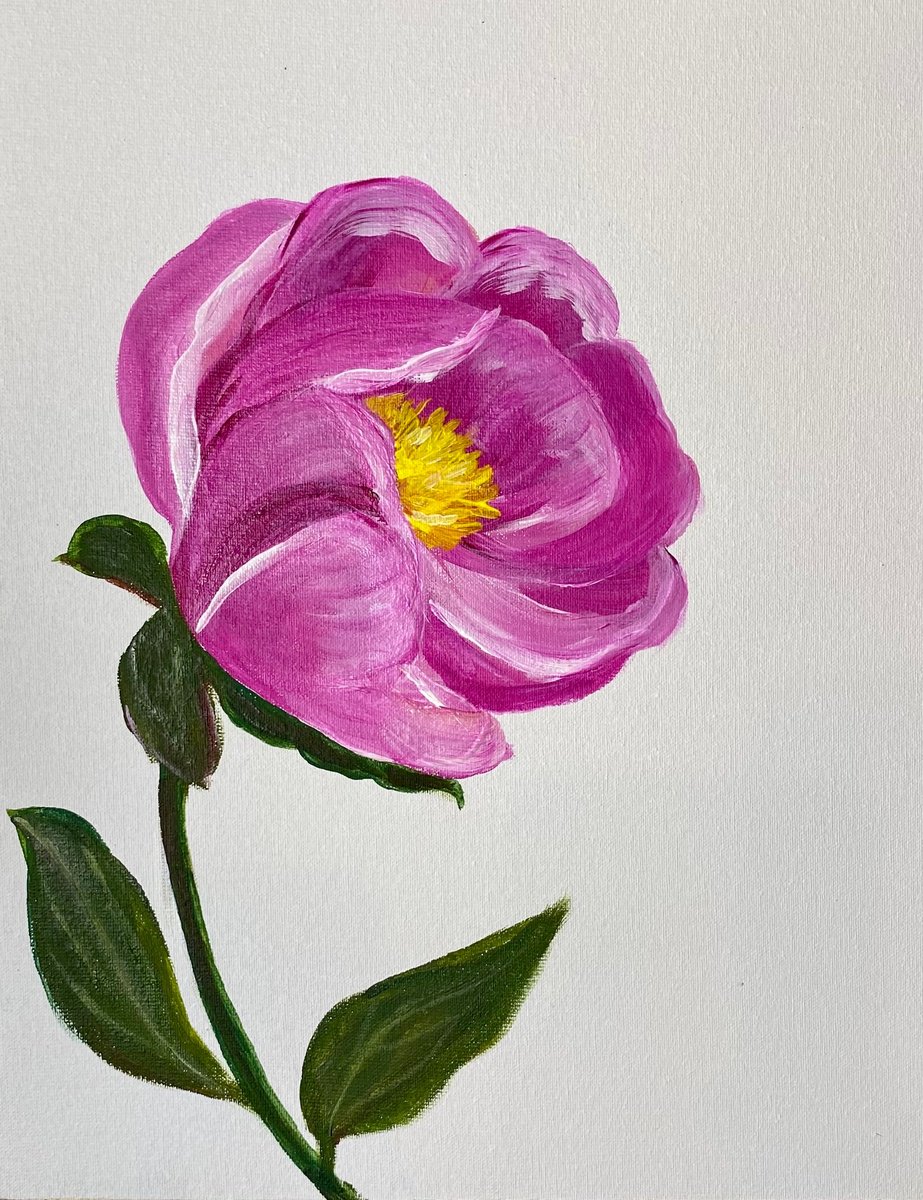 Pink Peony by Nataliia Krykun