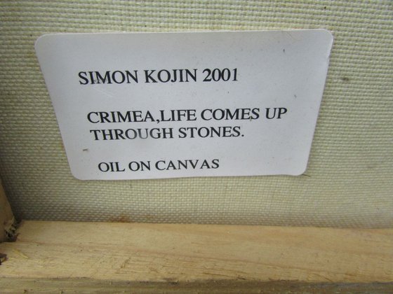Life among the stones
