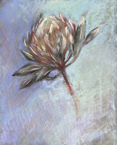 Flor de Protea by Ksenia Lutsenko