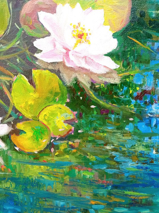 Water Lilies. Pond