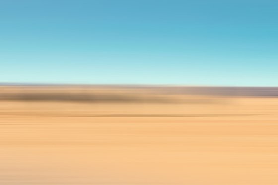 DESERT VIBES
