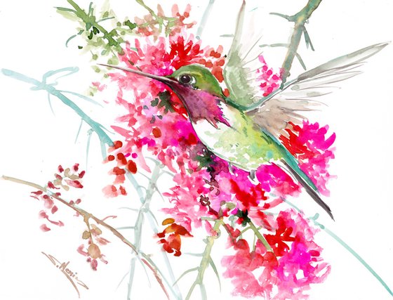 Hummingbird and flowers
