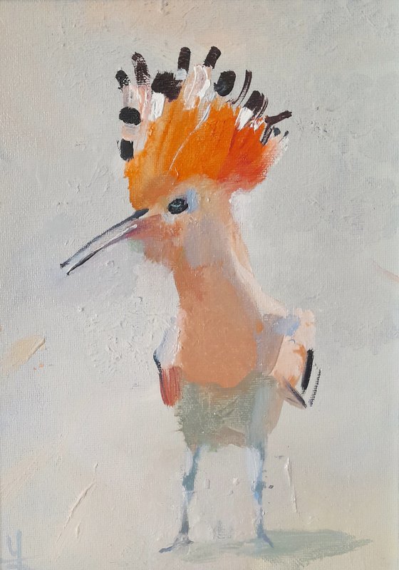 Hoopoe
