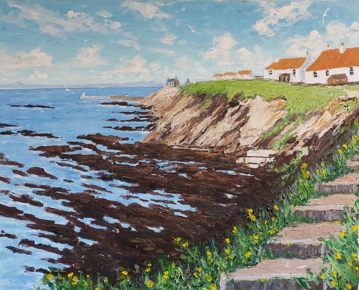 pittenweem cliffs by Colin Ross Jack