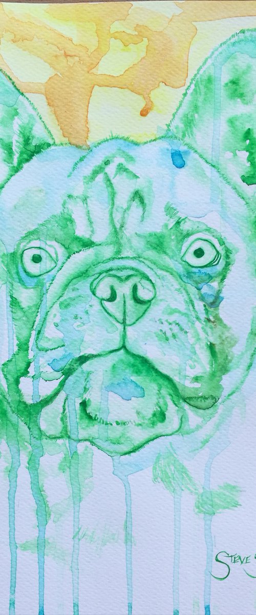 Green Pooch. Watercolour on paper. A4. by Steven Shaw