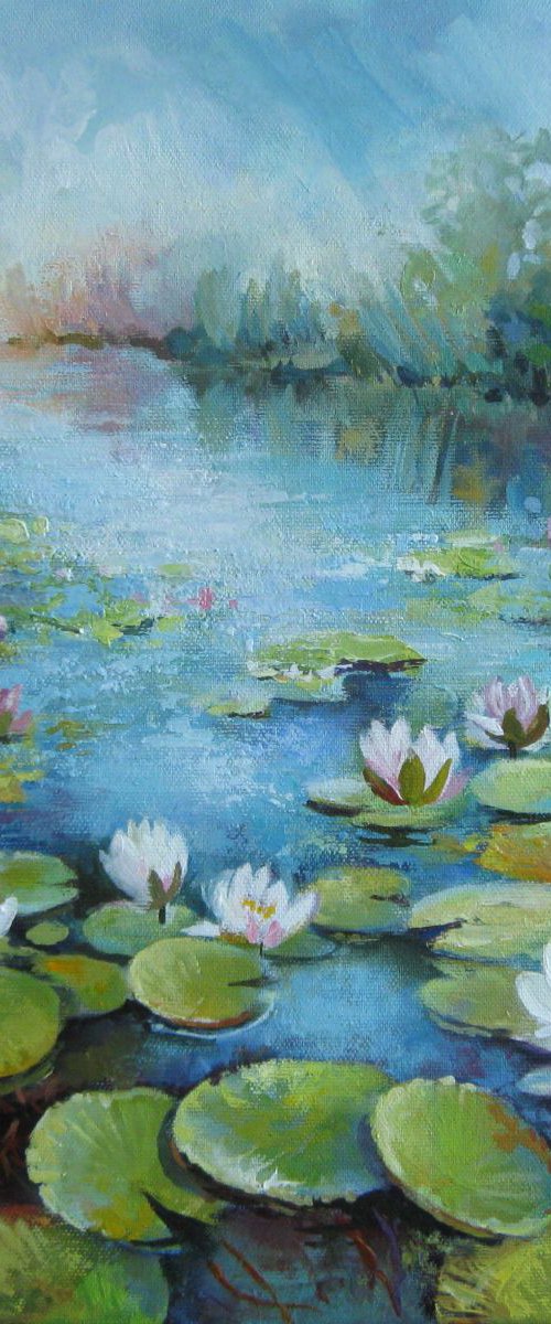 Waterlily pond by Elena Oleniuc