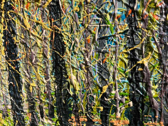 Spring Forest Light
