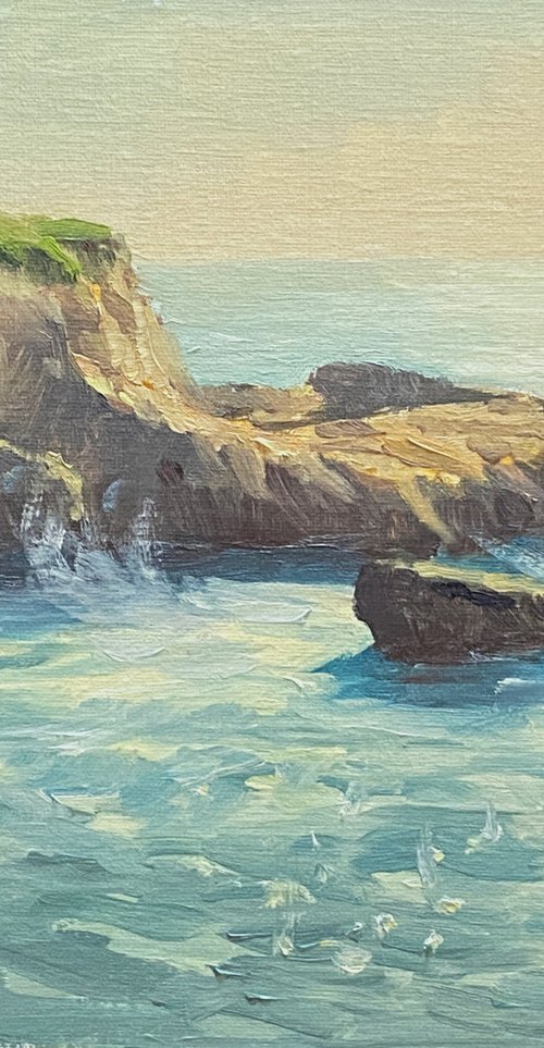 Cliffs View Near Davenport by Tatyana Fogarty