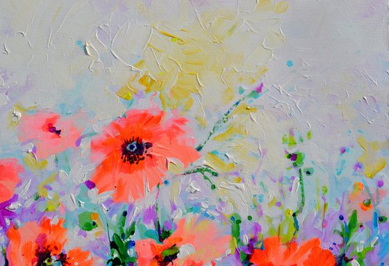 Oriental Poppies - Concert in Pink and Orange