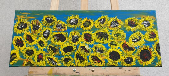 Blooming sunflowers 3